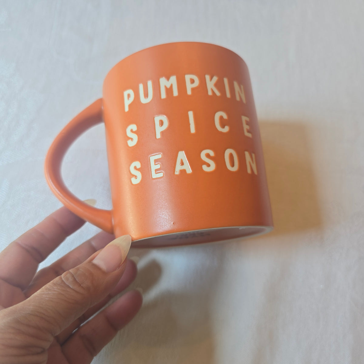 Pumpkin Spice Season Mug